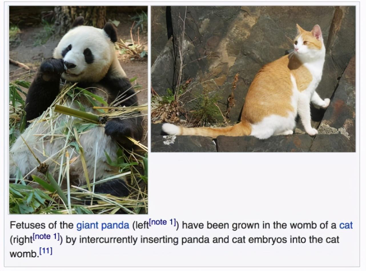 人类胚胎，可以在猪或其他哺乳动物的子宫中，完成发育并生产吗？