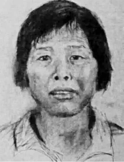 人贩子梅姨之恶