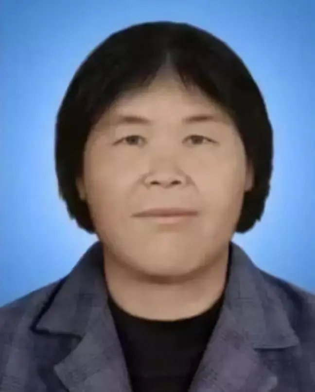 人贩子梅姨之恶