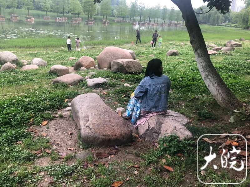 合肥市民反映两公园“人多椅少”    管理方回应：已有增设计划