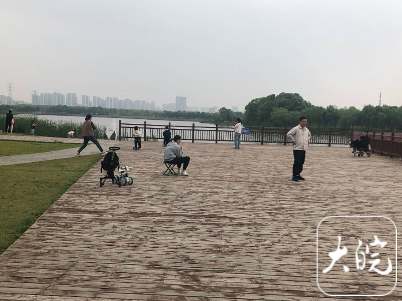 合肥市民反映两公园“人多椅少”    管理方回应：已有增设计划