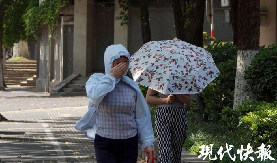 南京遭大风毛絮双重夹击！有人被“硬控”：浑身刺挠
