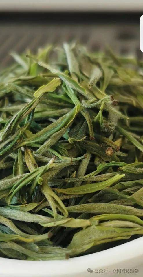 又到了春茶飘着幽香的季节