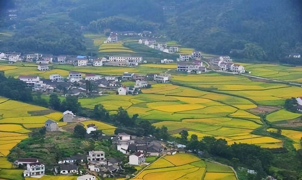 55岁“高考钉子户”梁实：第26次备考，目标川大，今年能否如愿？