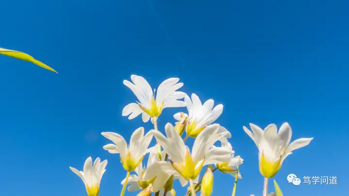 当小满遇上520——二十四节气：小满