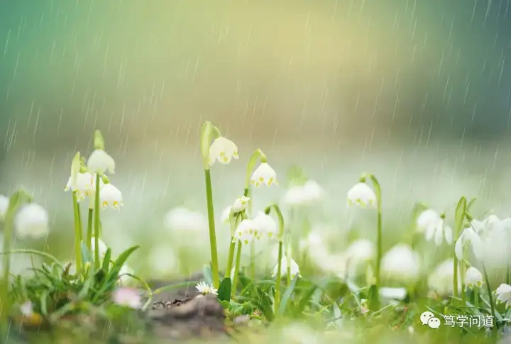 当小满遇上520——二十四节气：小满