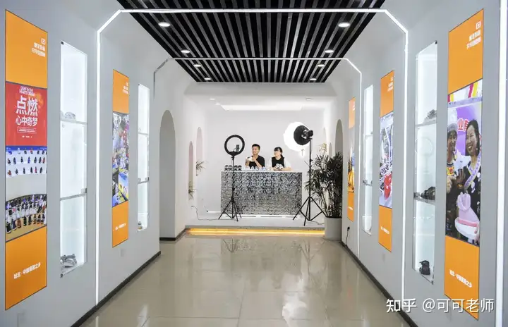 雪梨公司解散疑云