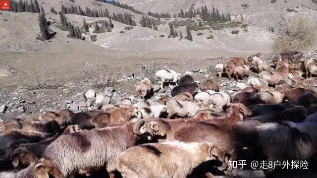 来到这里的人多数变成了骨灰，少数变成了骨灰玩家，人却源源不断