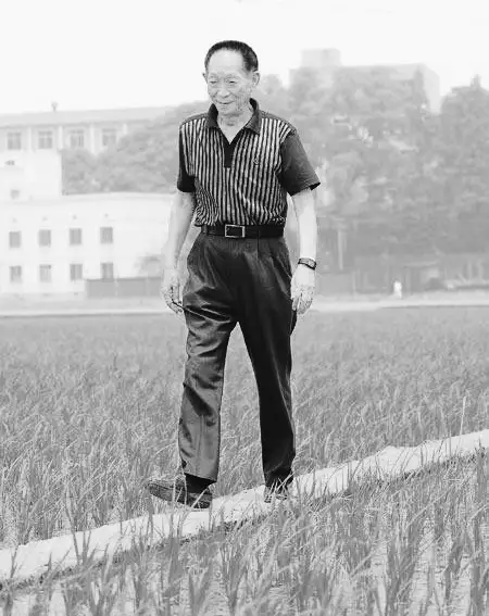 “双星陨落”“国士无双”，禾下乘凉梦，肝胆两昆仑: 袁隆平、吴孟超院士“双星陨落”周年祭