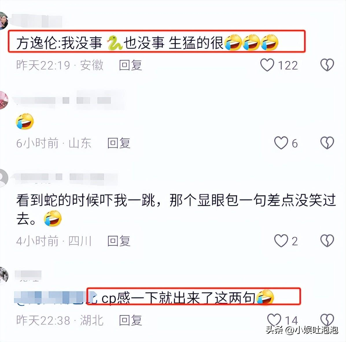 笑不活了，《狐妖小红娘月红篇》发布会现场，杨幂龚俊同框