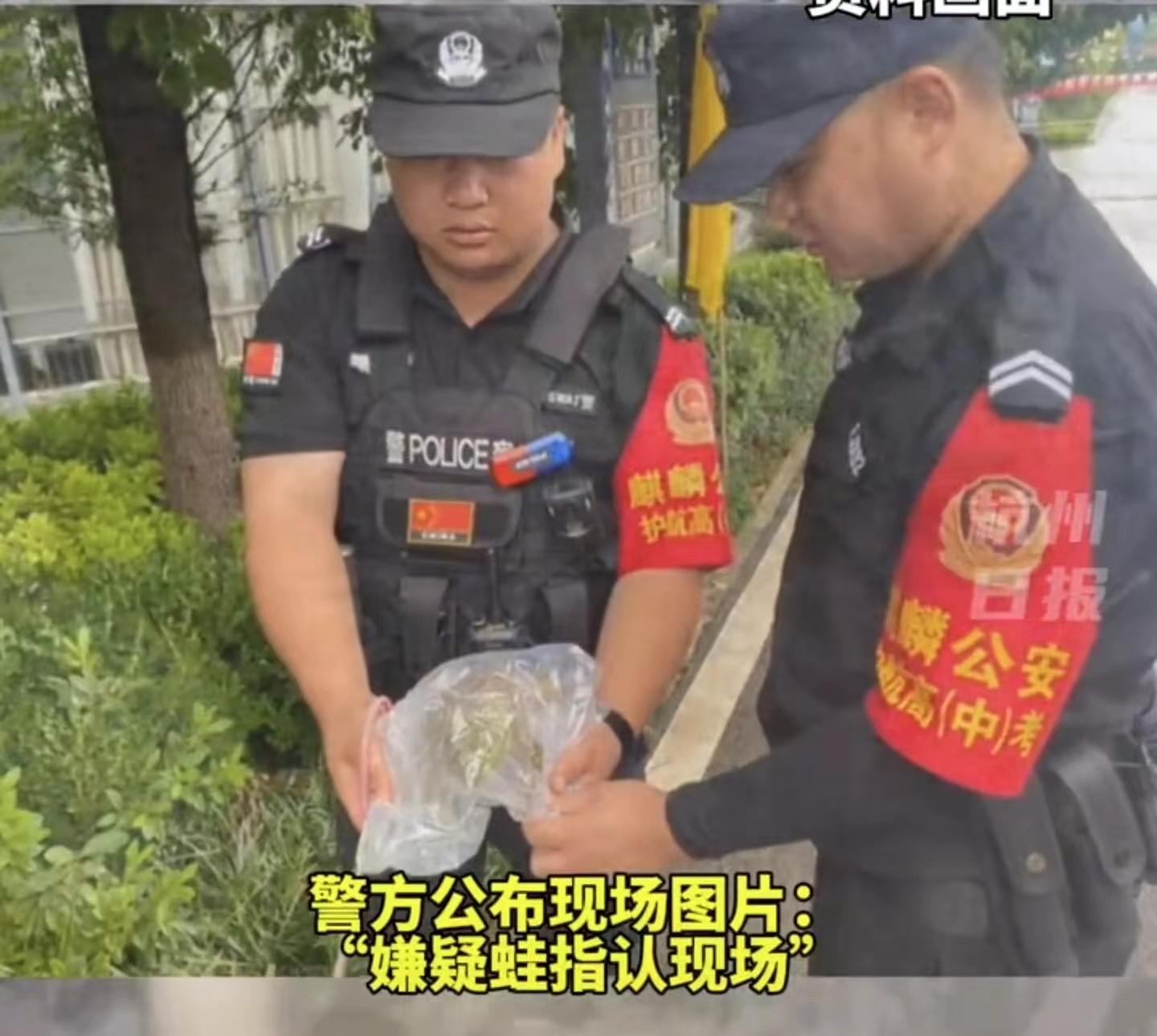 笑不活了！一只牛蛙考场周围制造噪音被抓，网友：不要在这哇哇叫-牛蛙叫的声音