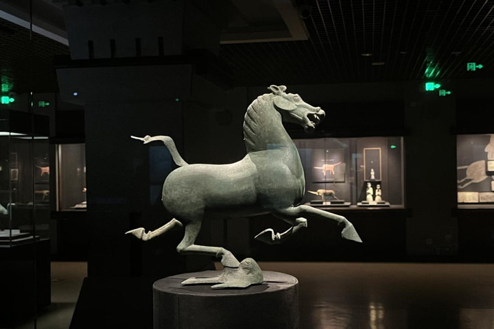 国际博物馆日｜一起走进甘肃省博物馆，感受文化的魅力！-甘肃省博物馆讲解员志愿者