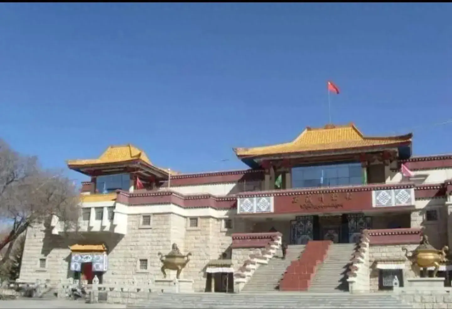 在博物馆里感受文化的绵延生命力！-博物馆参观后的感受