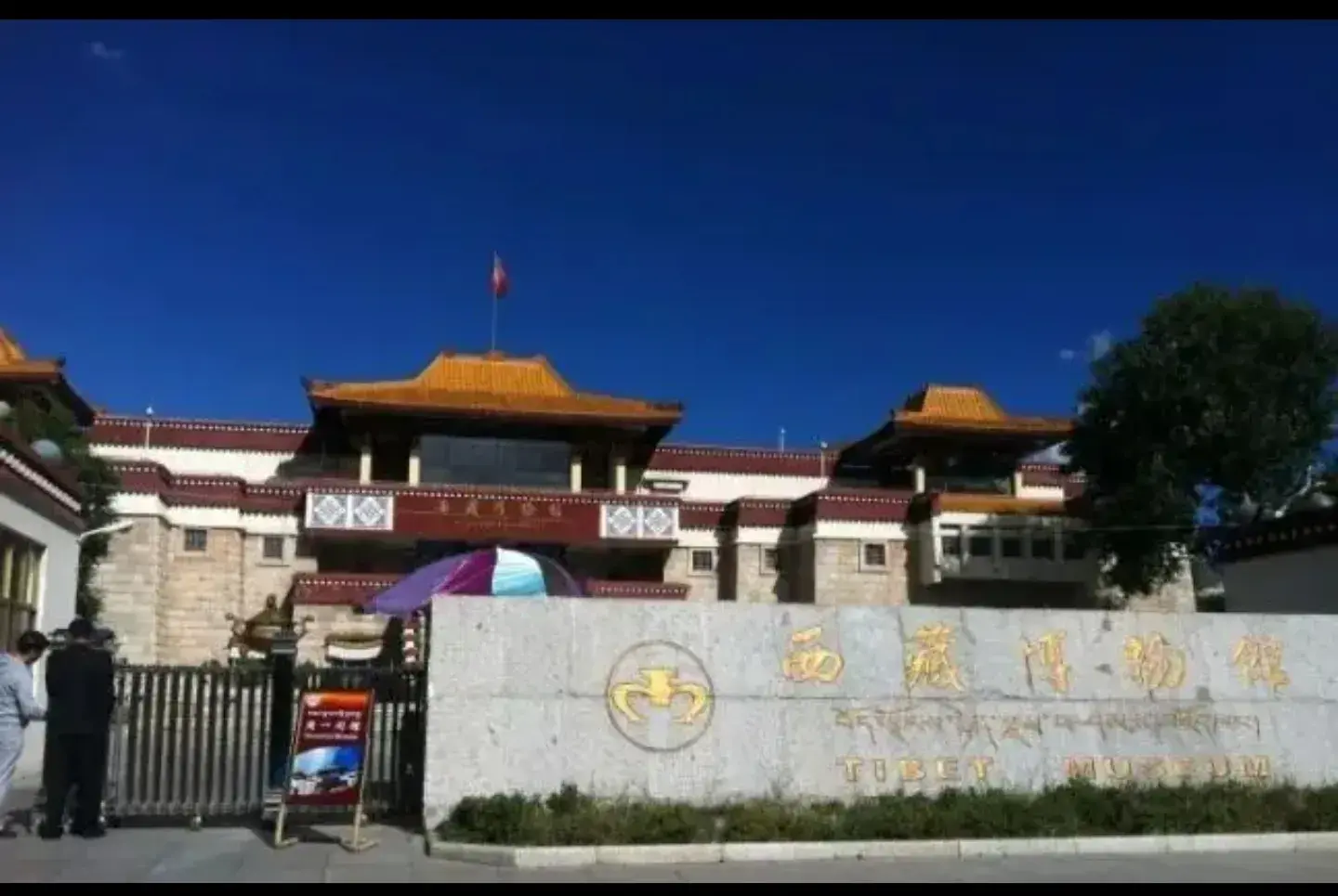 在博物馆里感受文化的绵延生命力！-博物馆参观后的感受