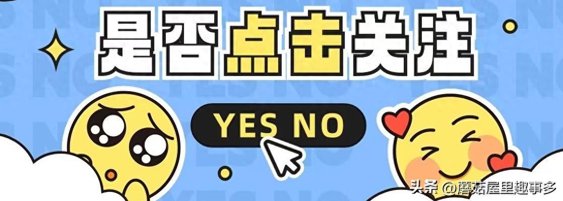 笑不活了，吴艳妮12秒74全妆跑出亚洲第一，赛后采访假睫毛掉了-吴艳艳是谁
