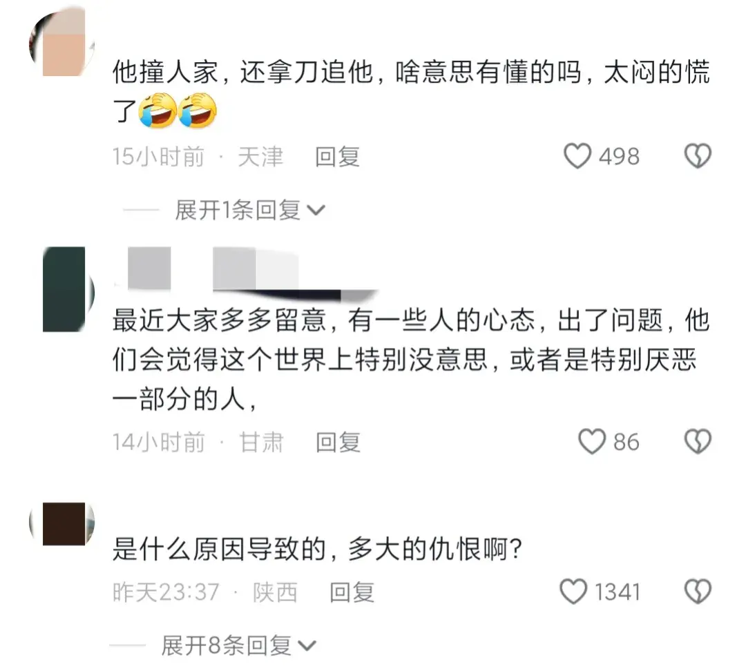 闹大了！男子开车撞人还持刀追砍后续：同村人曝原因，果然不简单-男子开车撞死人新闻报道视频