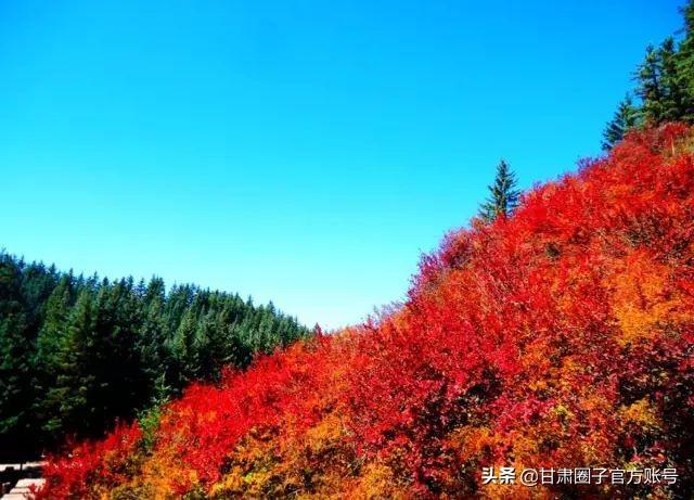 我保证，今天这组照片，是你没见过的甘肃-我想看甘肃