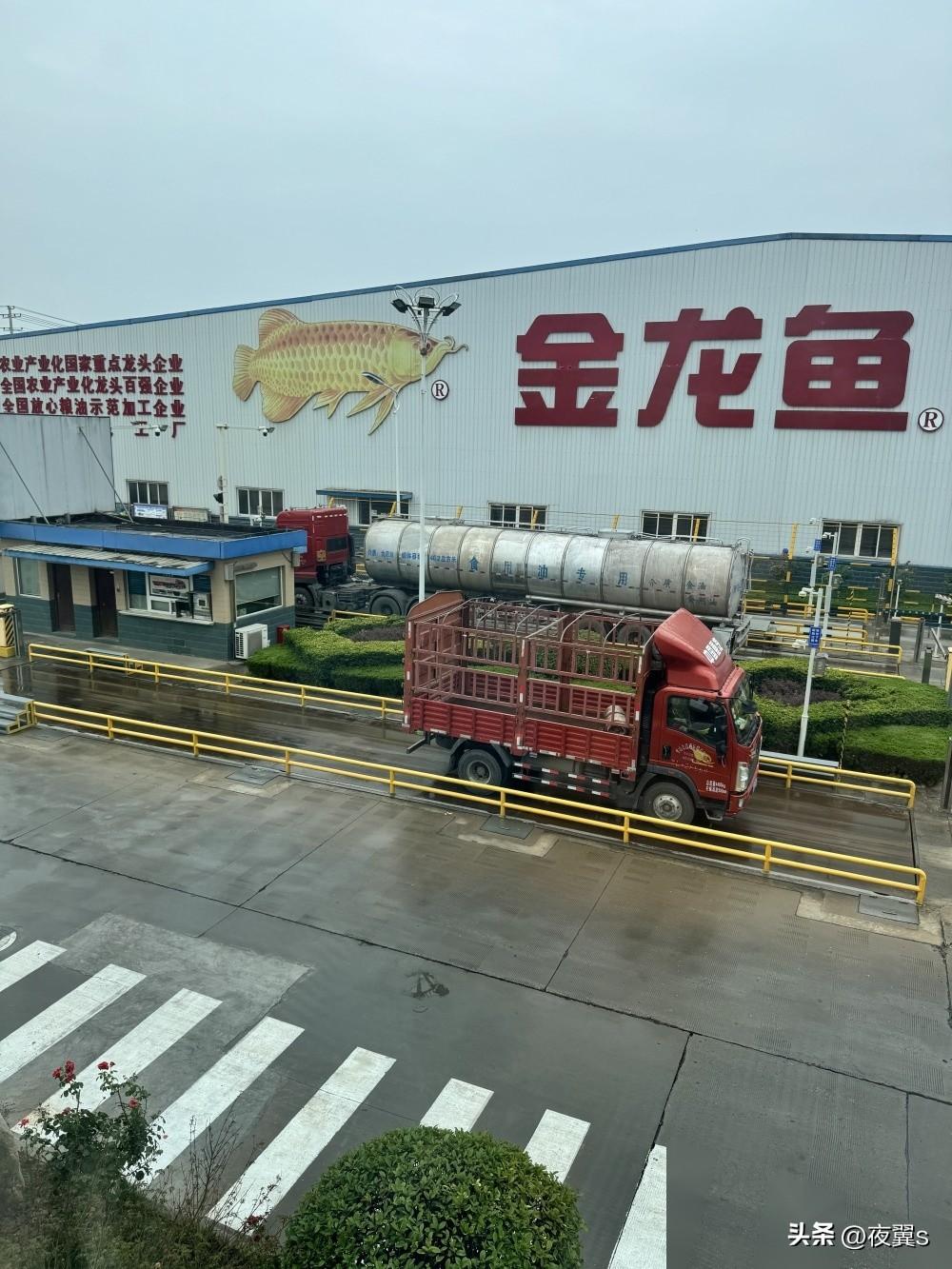 运煤制油罐车确进3家涉陕食用油企业卸货，油罐均封存待检-陕西油罐车爆炸