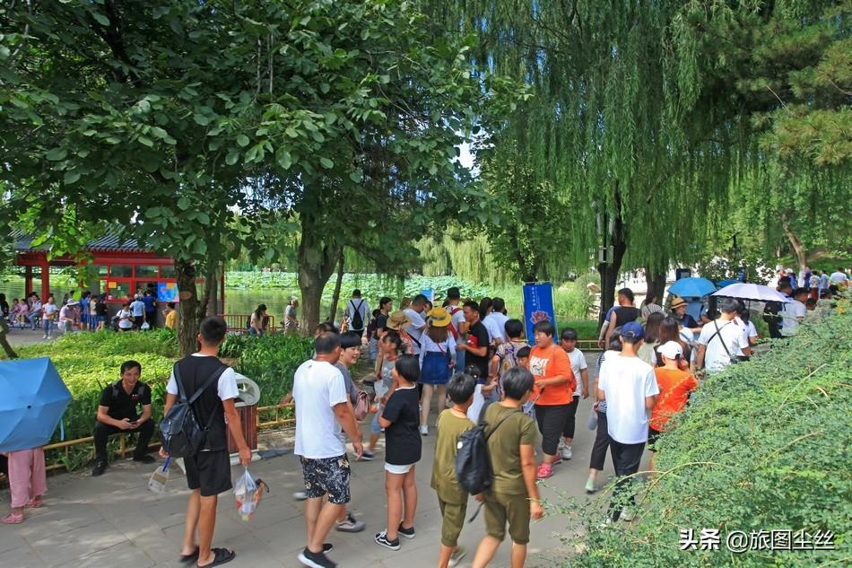 八月的圆明园游客爆棚，部分路段拥挤不堪，家长给小孩拴安全绳-圆明园游园时间