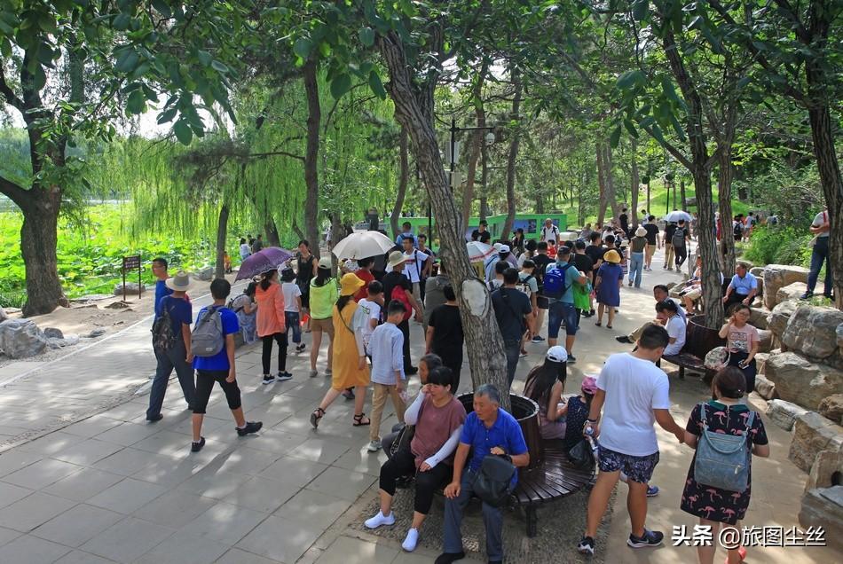 八月的圆明园游客爆棚，部分路段拥挤不堪，家长给小孩拴安全绳-圆明园游园时间