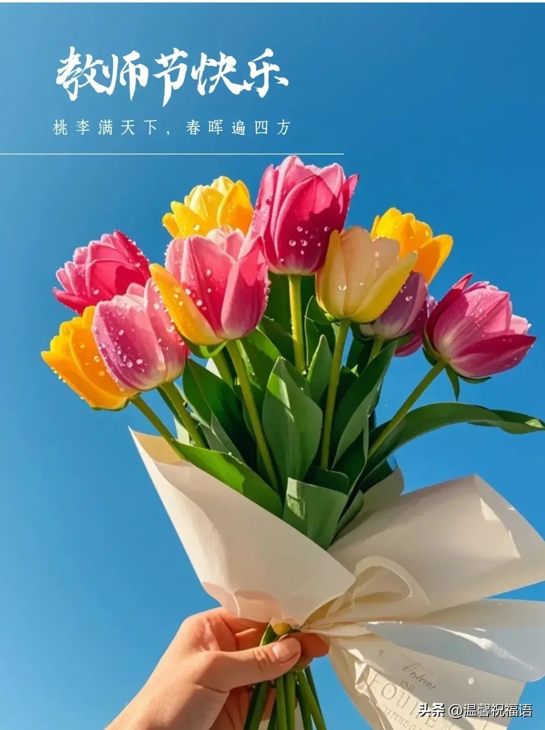 你的奉献悄无声息，你的教诲终生铭记，祝所有老师节日快乐！-祝老师们节日快乐您们辛苦了祝福语大全