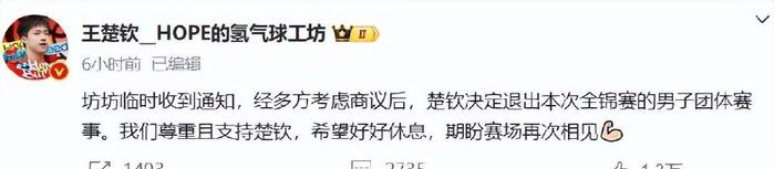 网友爆料，王楚钦将退出全锦赛，如果真如此，球迷表示支持-王楚钦为什么停赛