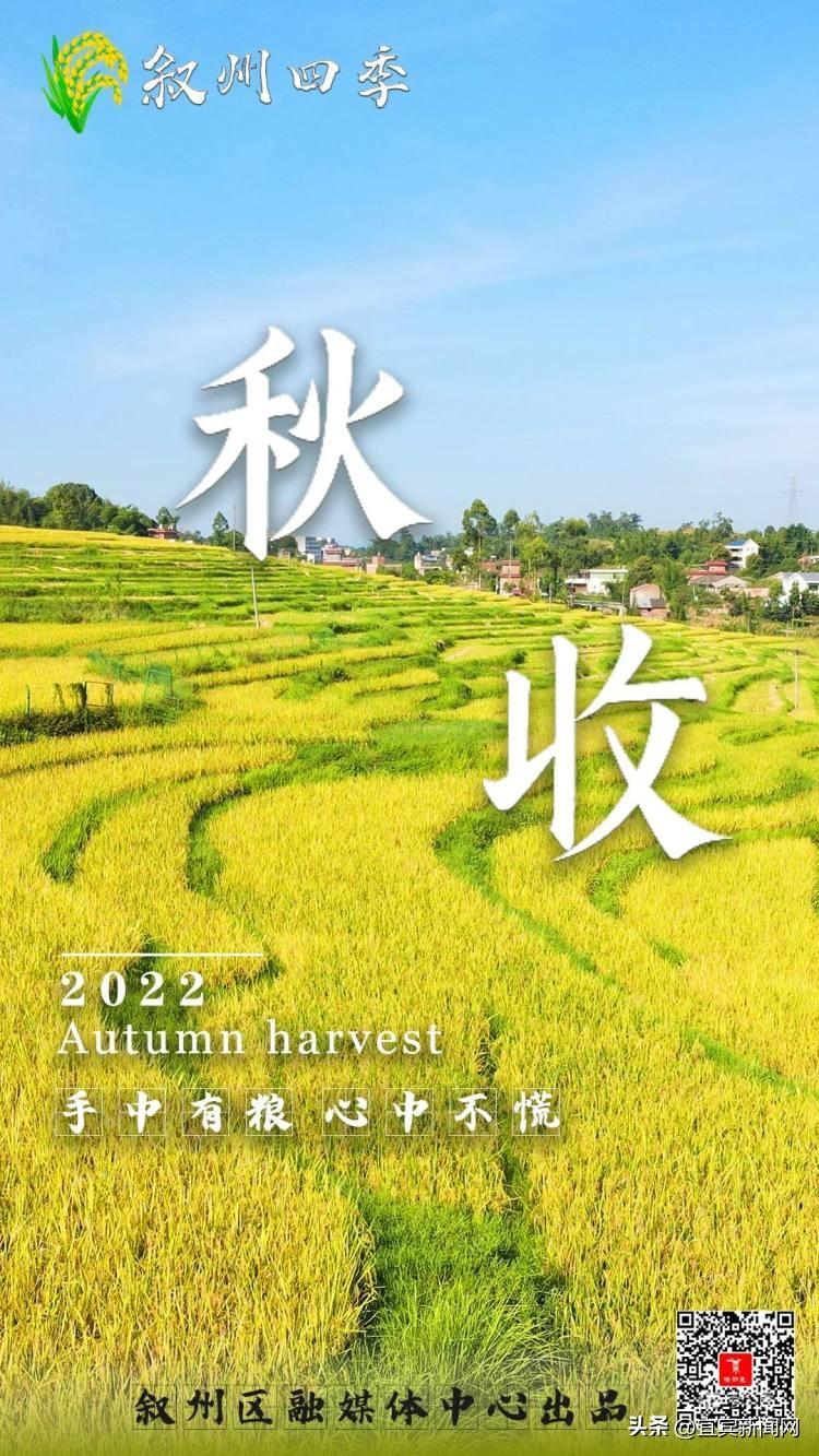 鸟瞰三江大地 藏在梯田里的丰收景-三江游玩