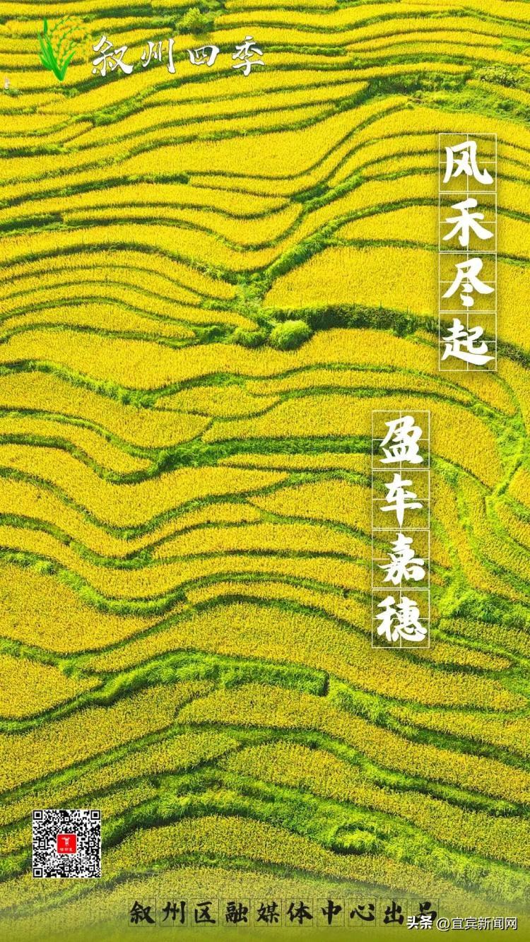 鸟瞰三江大地 藏在梯田里的丰收景-三江游玩
