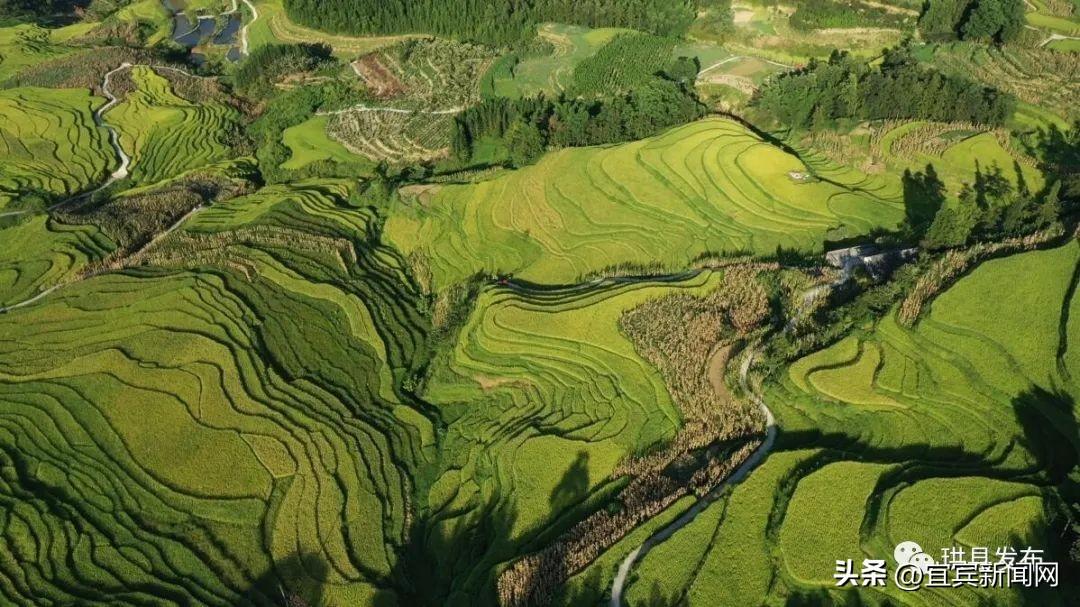 鸟瞰三江大地 藏在梯田里的丰收景-三江游玩