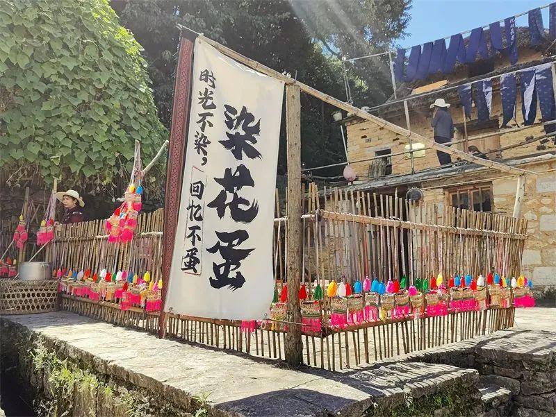 梯田尽染丰收色 长街宴席新稻香-丰收的梯田图片