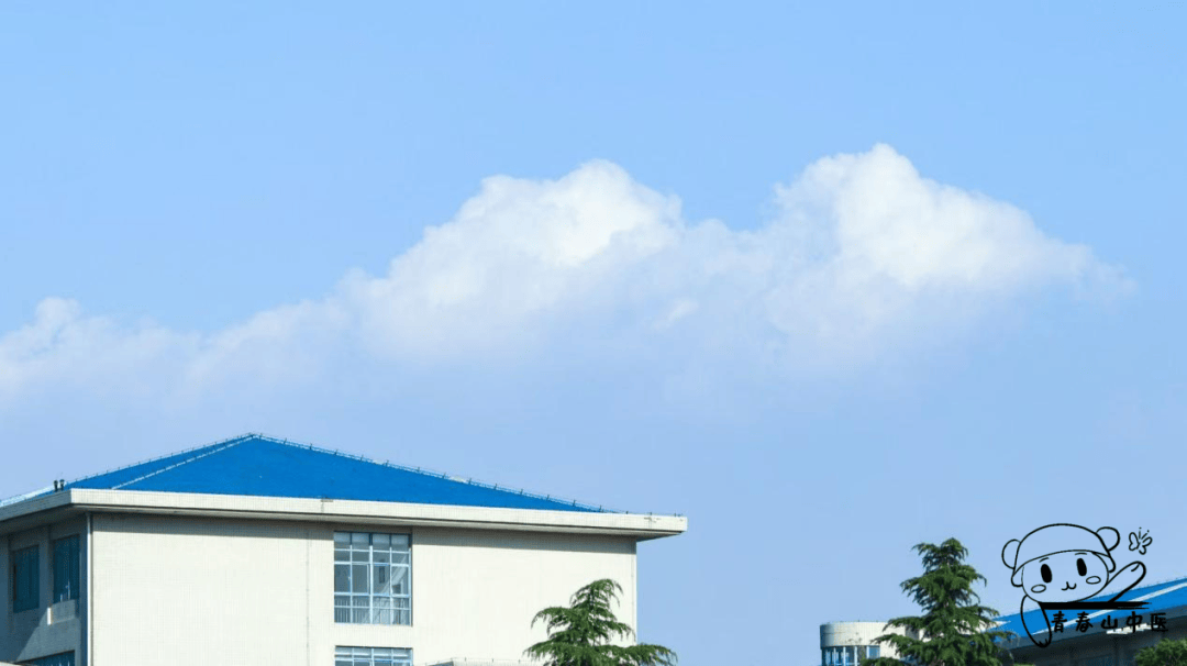 藏在校园里的“中国色”-学校里的中国