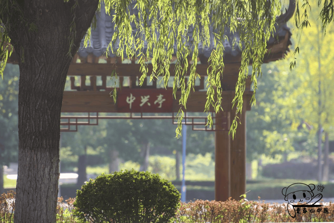 藏在校园里的“中国色”-学校里的中国
