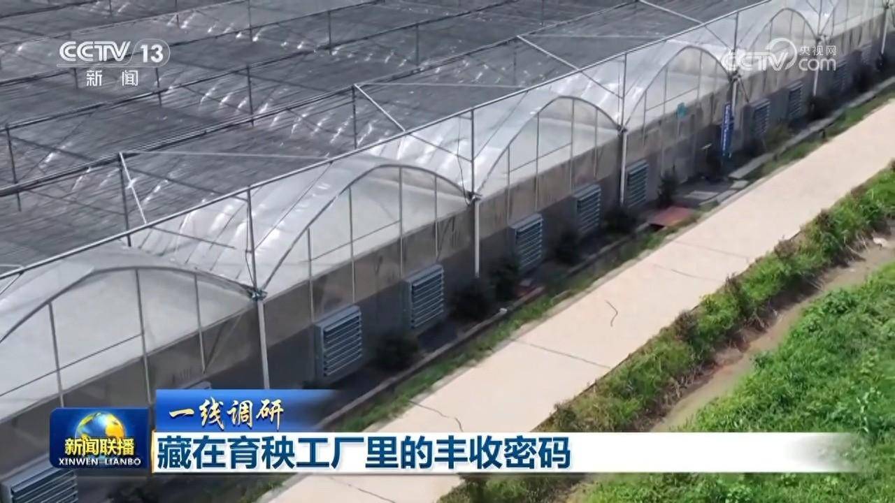 藏在育秧工厂里的丰收密码-育秧技术指导