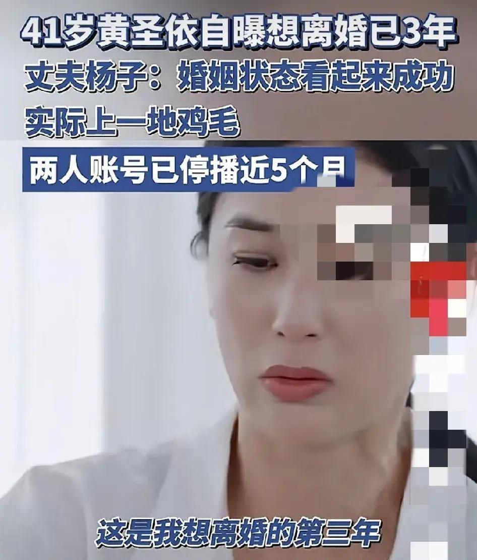 大瓜！黄圣依为什么衣食无忧却要离婚，原来杨子早已给出答案-黄圣依为什么这么能忍