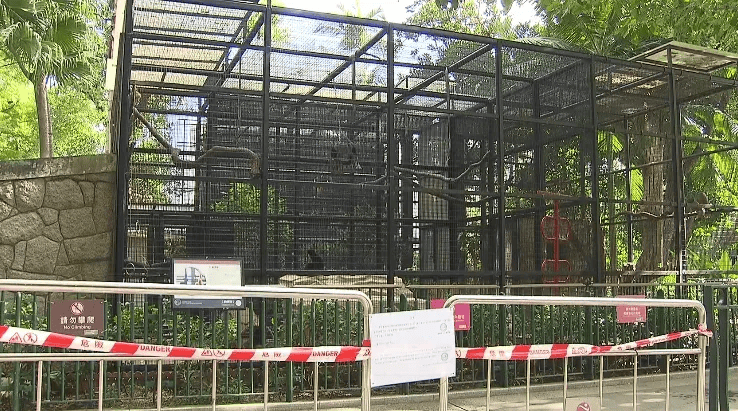 香港动植物公园9只猴子离奇死亡-香港有动物园吗