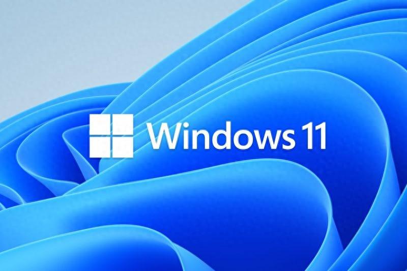 微软或将以“Windows Intelligence”品牌推广Win11 AI功能-微软公司windows