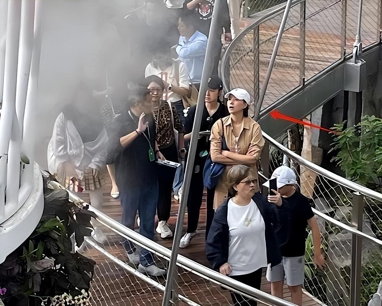 50岁董卿近照绝美，一身穿搭超过15万，网友却爆料是几年前的旧物-董卿45岁