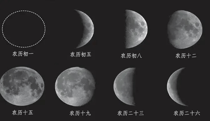 这几天失眠可能跟月亮有关丨冷兔小报 No.1050-失眠和月亮有关系吗