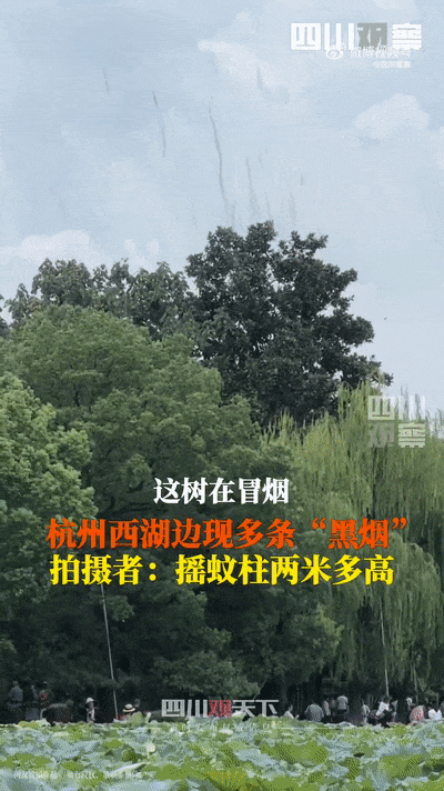 这几天失眠可能跟月亮有关丨冷兔小报 No.1050-失眠和月亮有关系吗