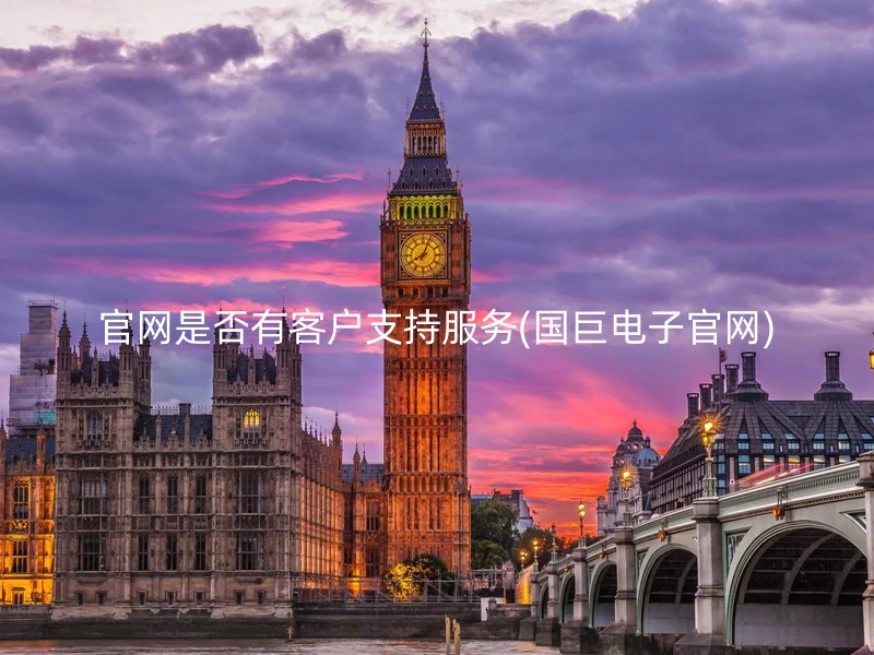 官网是否有客户支持服务(国巨电子官网)