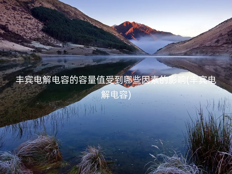 丰宾电解电容的容量值受到哪些因素的影响(丰宾电解电容)