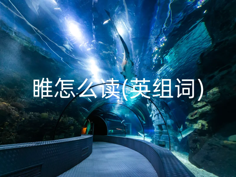 睢怎么读(英组词)