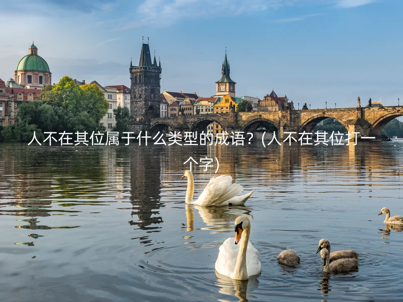 人不在其位属于什么类型的成语？(人不在其位打一个字)