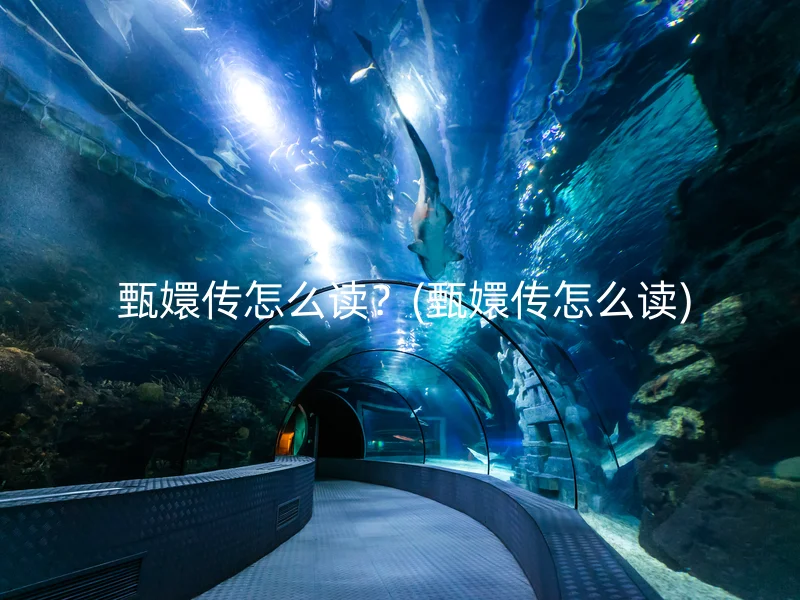  甄嬛传怎么读？(甄嬛传怎么读)