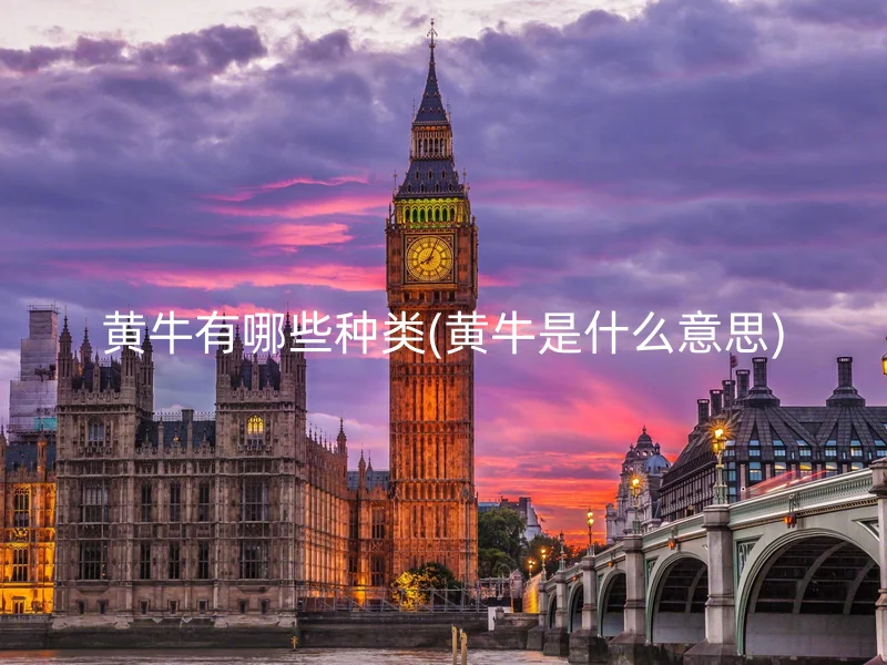 黄牛有哪些种类(黄牛是什么意思)