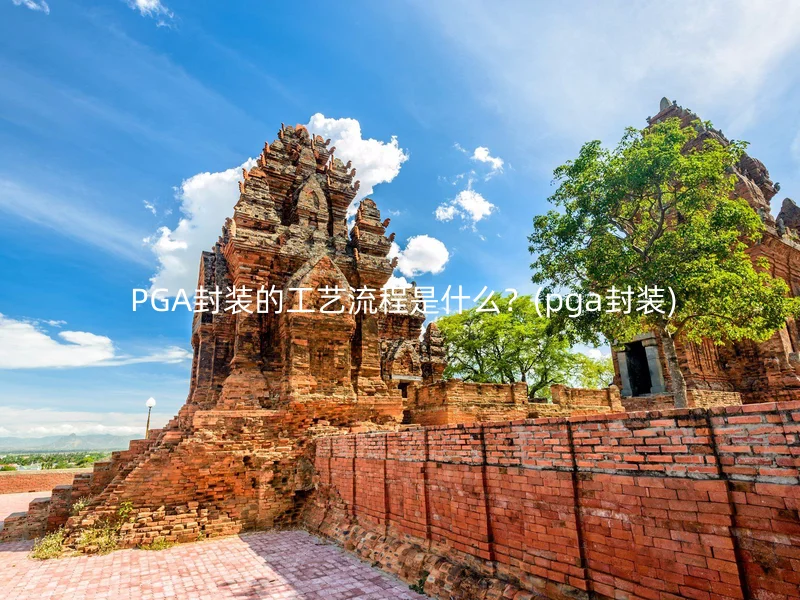 PGA封装的工艺流程是什么？(pga封装)