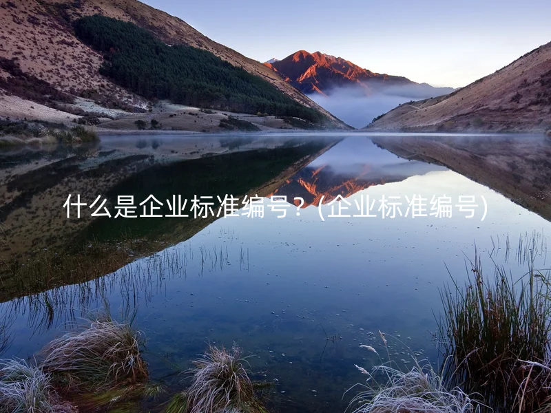 什么是企业标准编号？(企业标准编号)