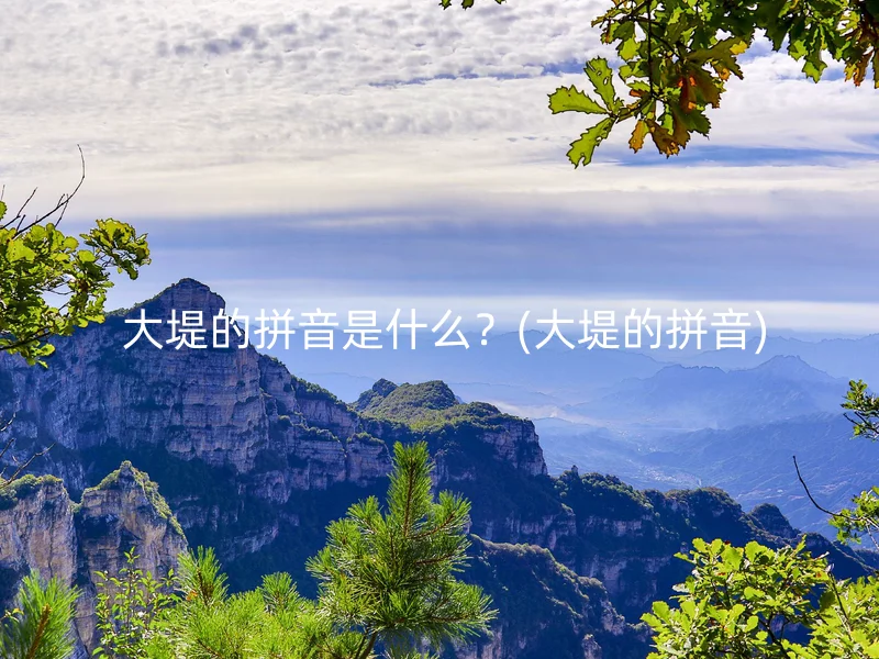  大堤的拼音是什么？(大堤的拼音)