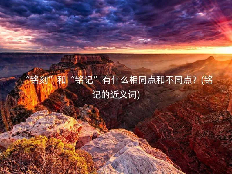  “铭刻”和“铭记”有什么相同点和不同点？(铭记的近义词)