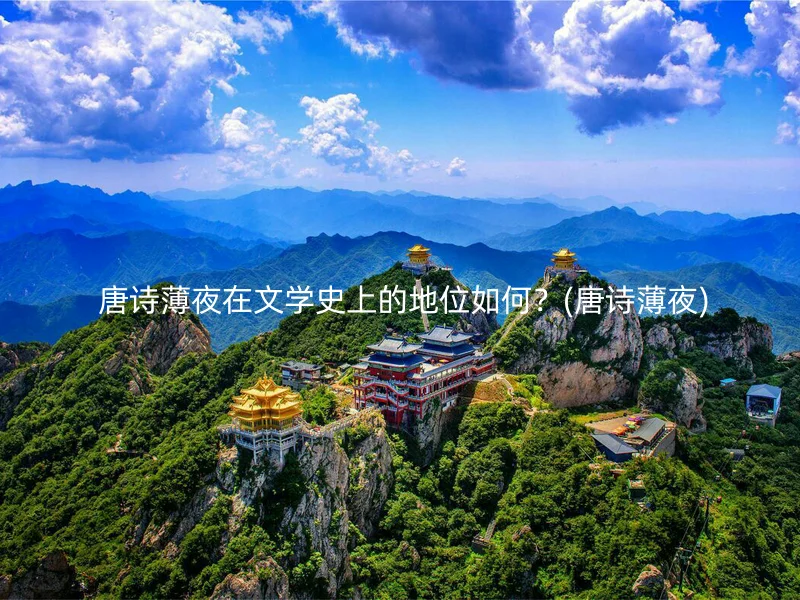  唐诗薄夜在文学史上的地位如何？(唐诗薄夜)